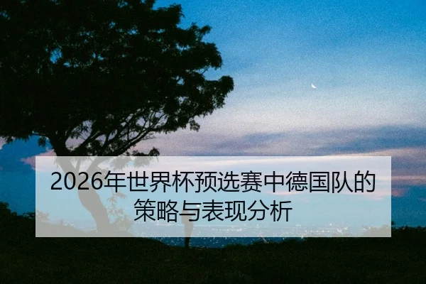 nian-shi-jie-bei-yu-xuan-sai-zhong-de-guo-dui-de-ce-lve-yu-biao-xian-fen-xi-2-483.jpg